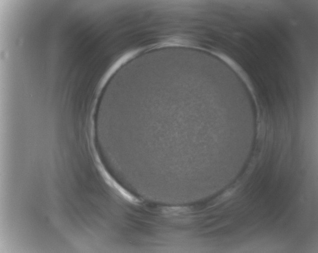 X0000082741341200701261431