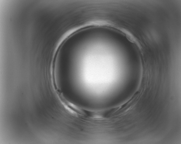 X0000082741343200701261431