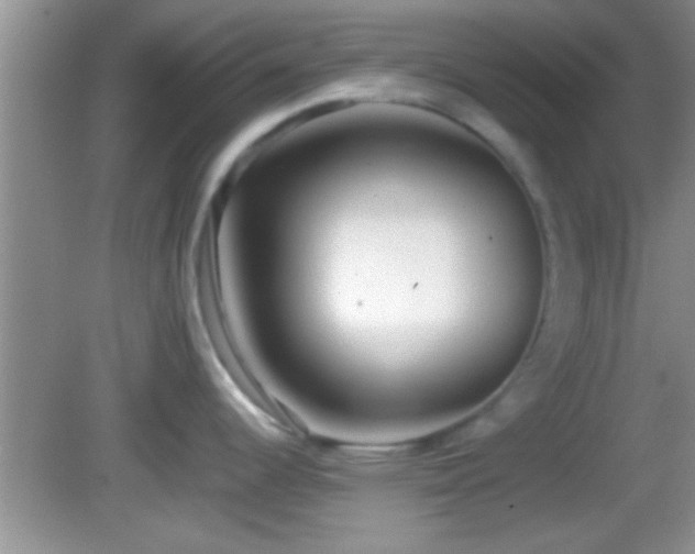 X0000082741344200701261431