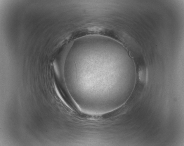 X0000082741347200701261431