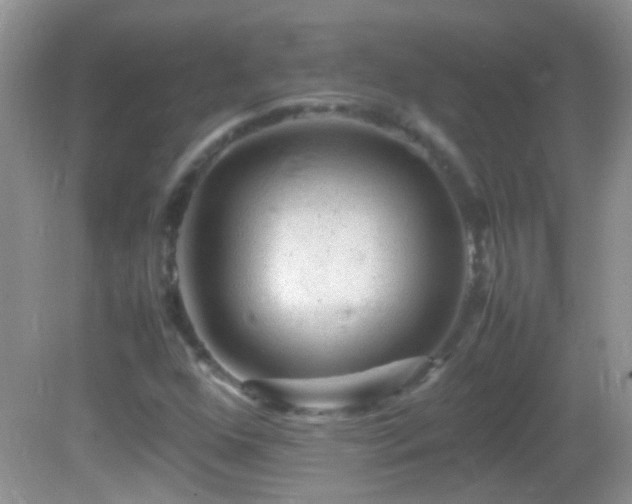 X0000082741352200701261431