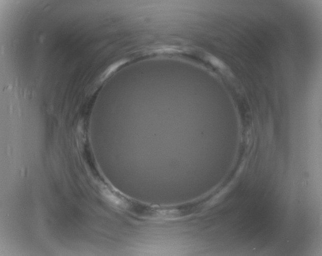 X0000082741353200701261430