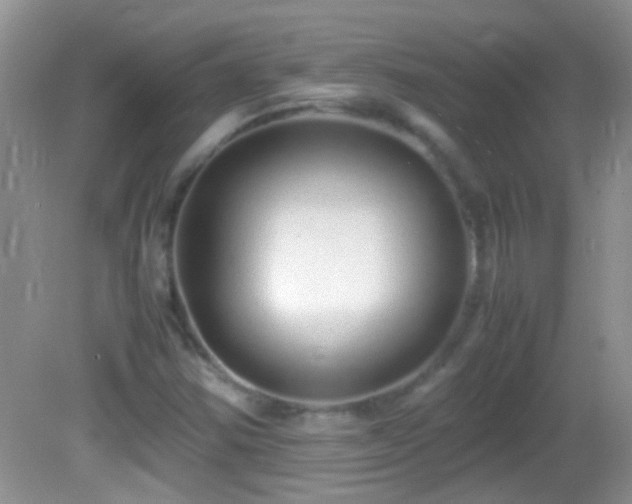 X0000082741354200701261430