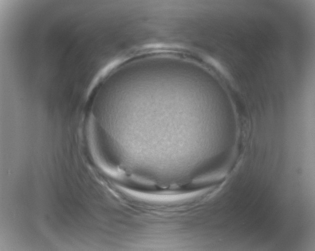 X0000082741357200701261430