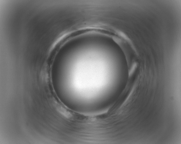 X0000082741360200701261430