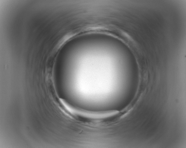 X0000082741361200701261430