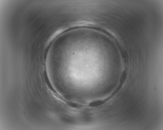 X0000082741363200701261430