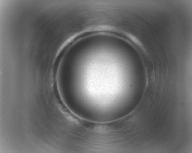 X0000082741364200701261430