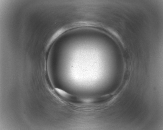 X0000082741365200701261430
