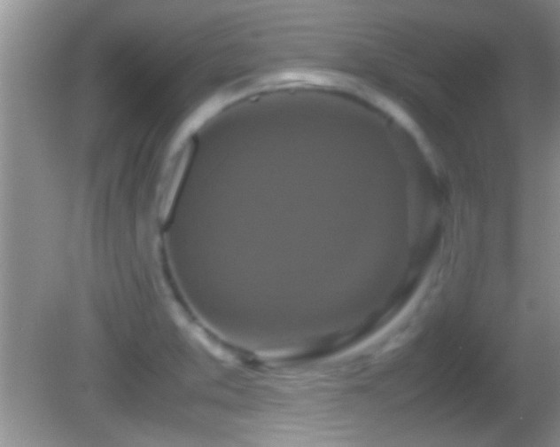 X0000082741373200701261430