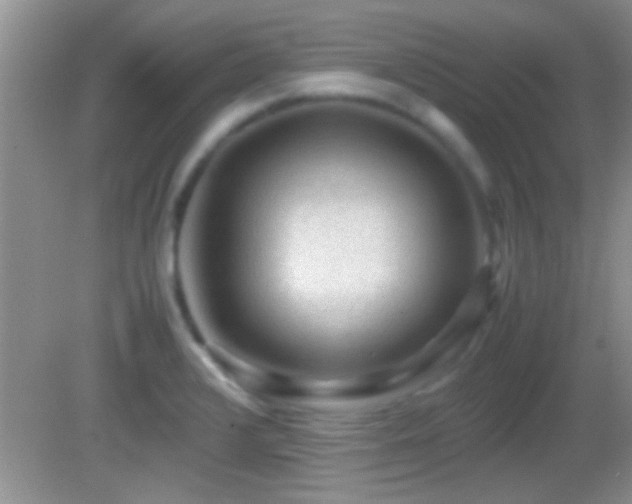 X0000082741376200701261430