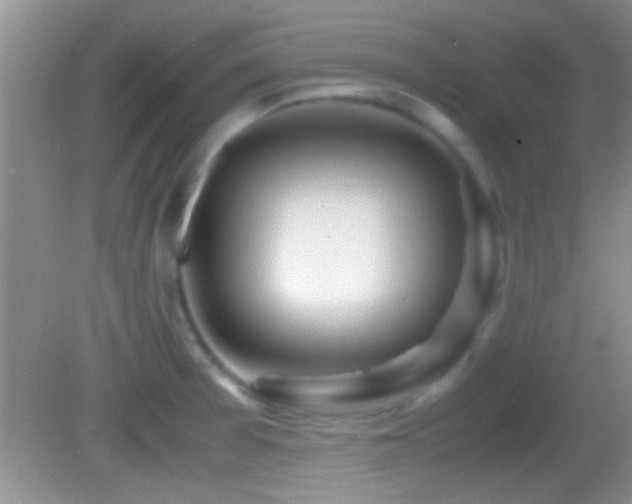 X0000082741377200701261430