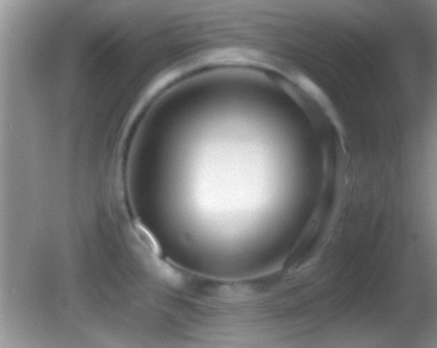 X0000082741384200701261430