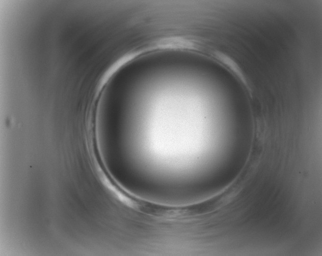 X0000082741387200701261430