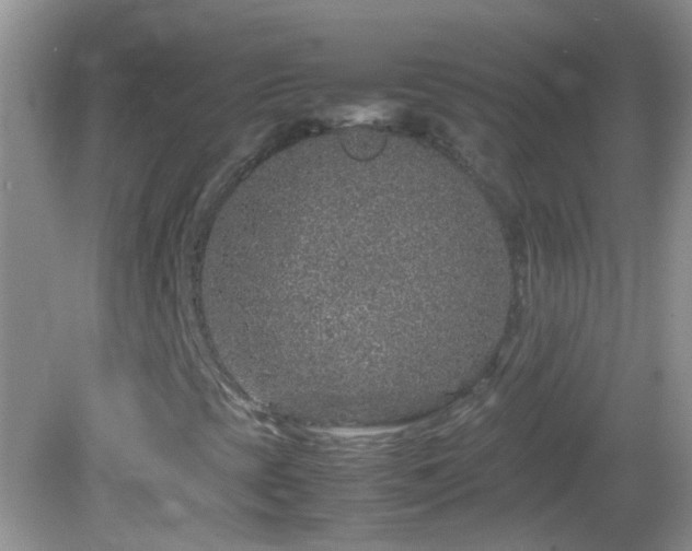 X0000082741393200701261429