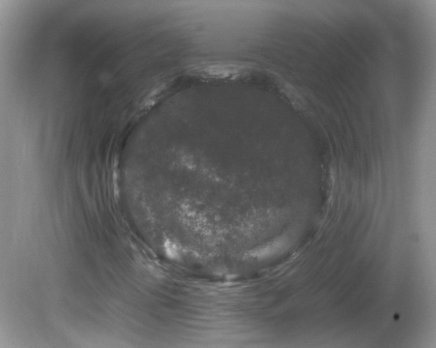 X0000082741394200701261429