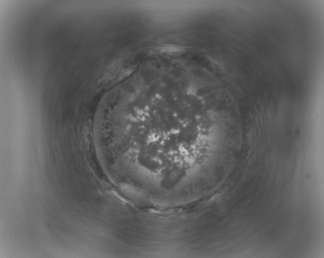 X0000082741397200701261429