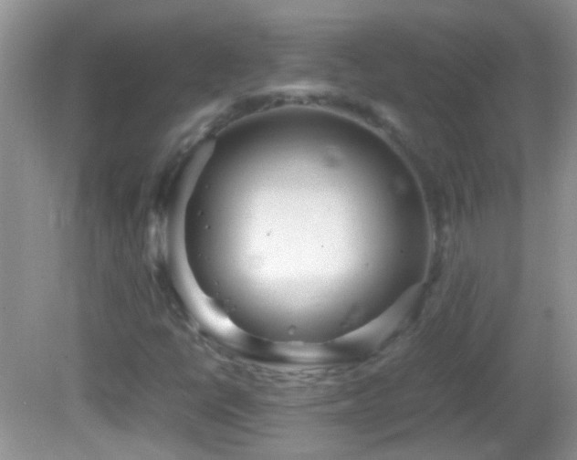 X0000082741398200701261429