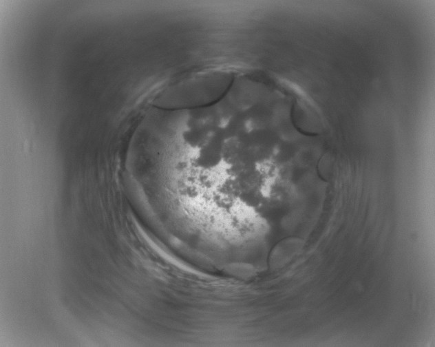 X0000082741399200701261429