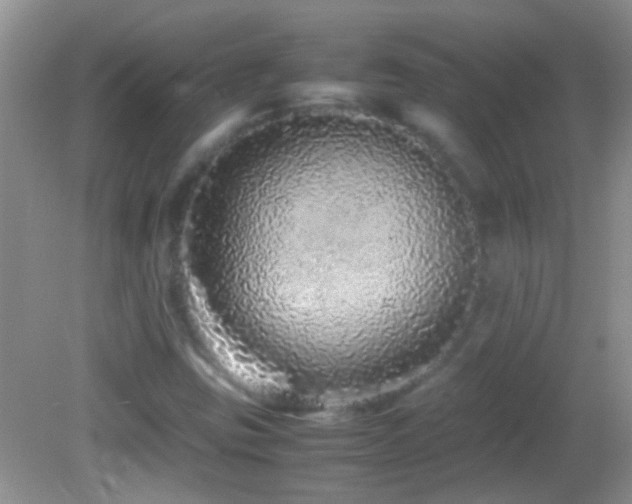 X0000082741403200701261429
