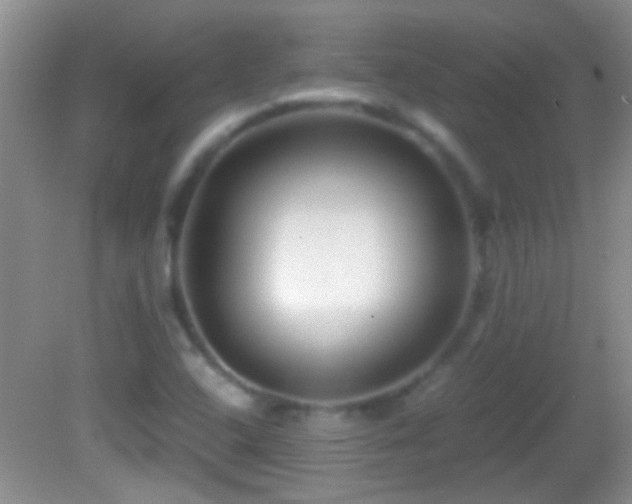 X0000082741408200701261429