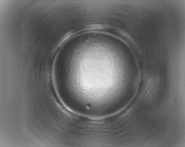 X0000082741409200701261429