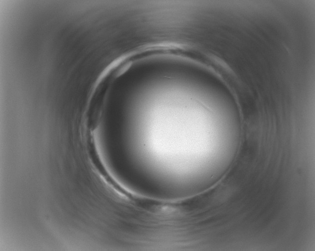 X0000082741412200701261429