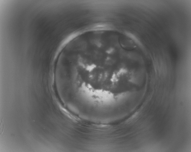 X0000082741413200701261429