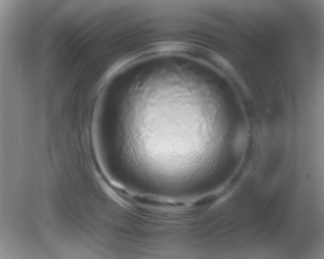 X0000082741417200701261429