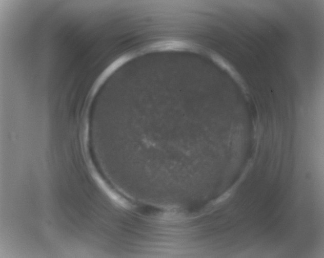 X0000082741418200701261429