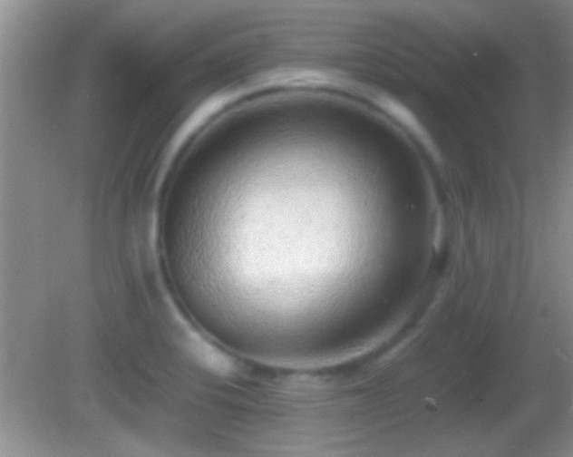 X0000082741424200701261430