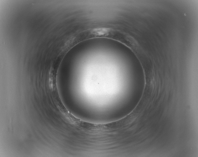 X0000082741442200701261429