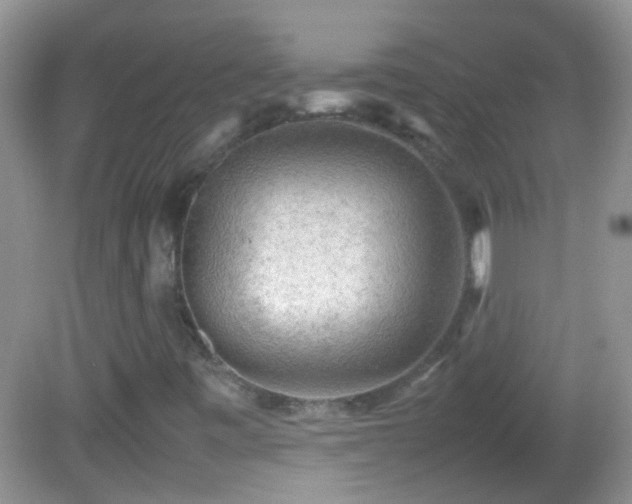 X0000082741443200701261429