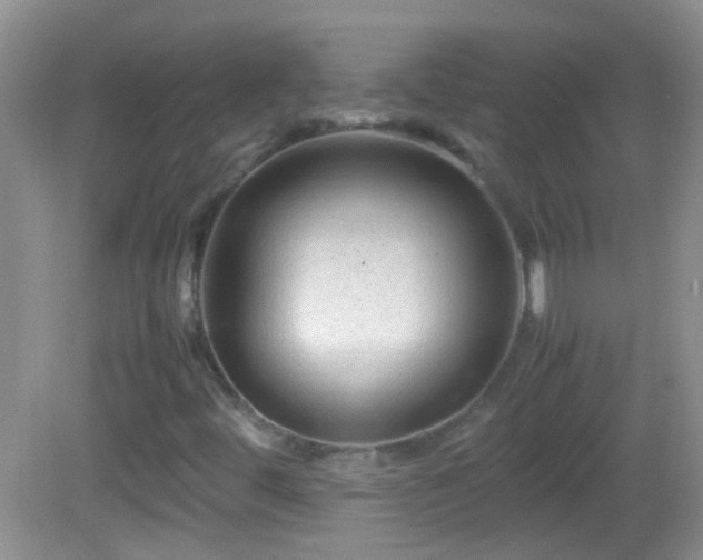 X0000082741444200701261429
