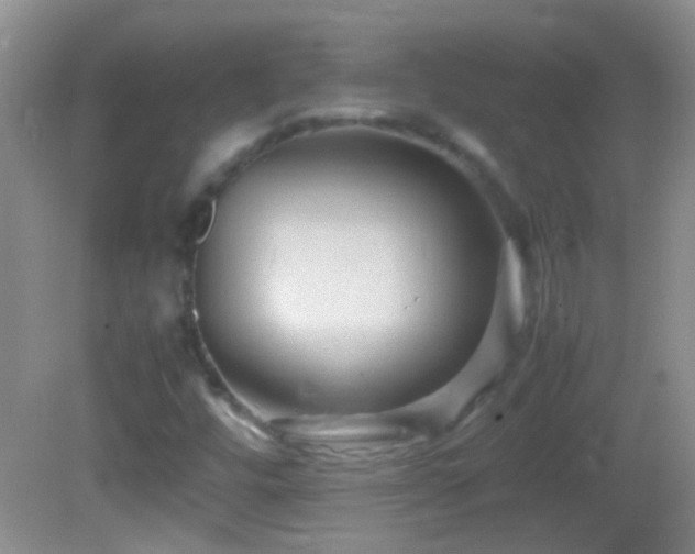 X0000082741448200701261429