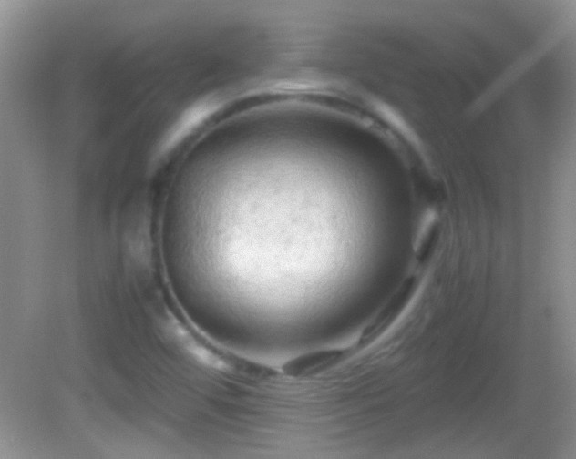 X0000082741456200701261429