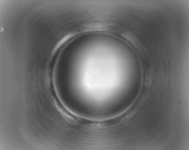 X0000082741458200701261429