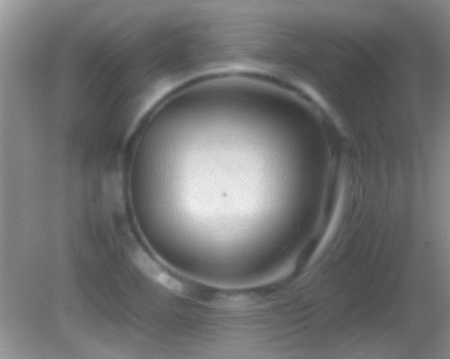 X0000082741460200701261429