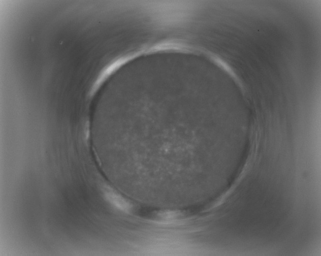 X0000082741461200701261429