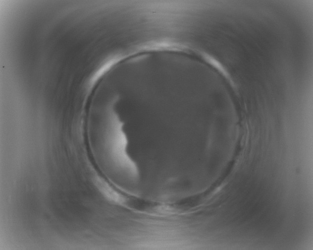 X0000082741463200701261429