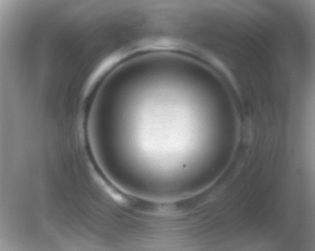 X0000082741464200701261429