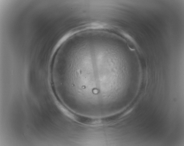 X0000082741467200701261429