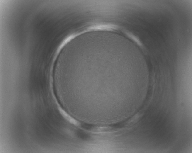 X0000082741471200701261429