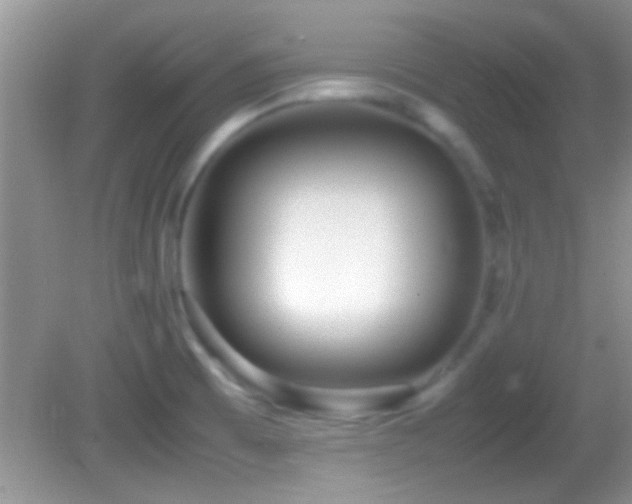 X0000082741473200701261428