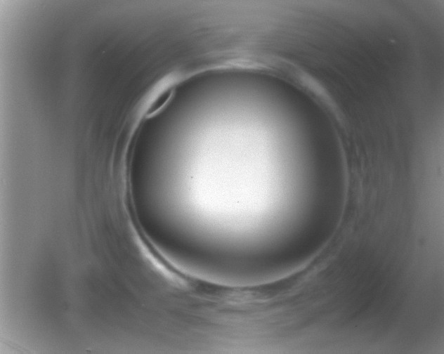 X0000082741479200701261428