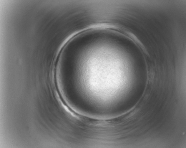 X0000082741484200701261428