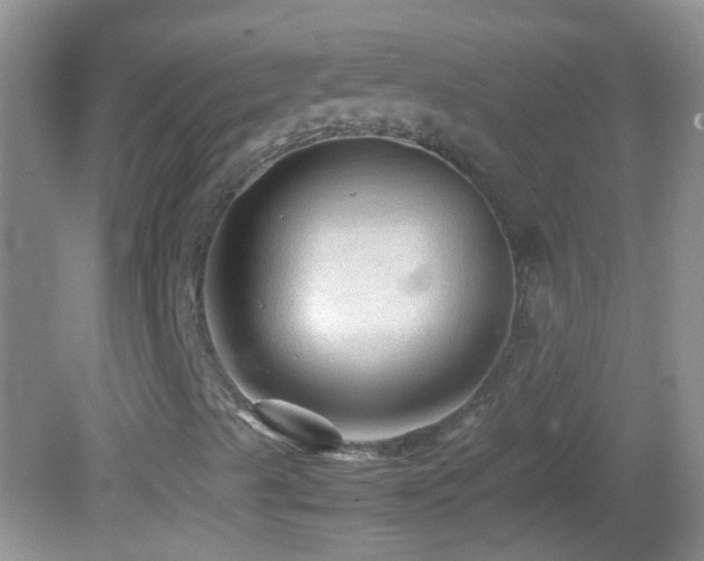 X0000082741489200701261427