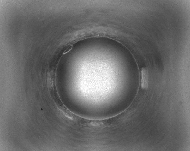 X0000082741491200701261427