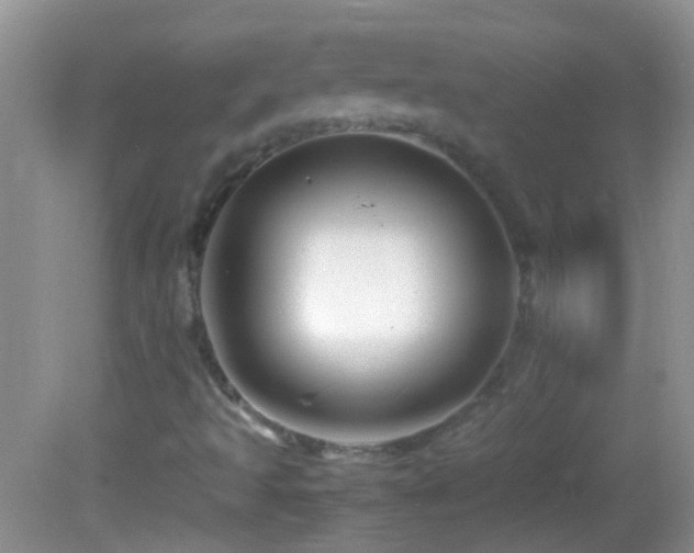 X0000082741493200701261427