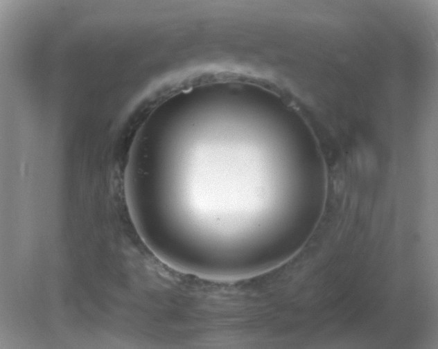 X0000082741495200701261428
